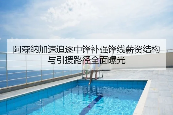 阿森纳加速追逐中锋补强锋线薪资结构与引援路径全面曝光