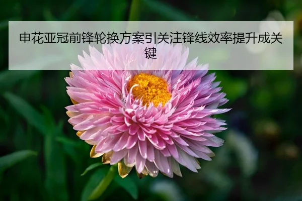 申花亚冠前锋轮换方案引关注锋线效率提升成关键